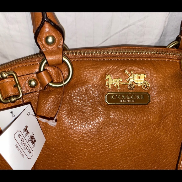 Coach - Picture 9 of 14